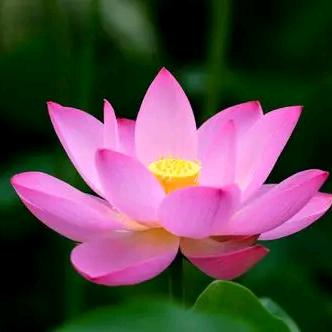 繁华一世幸福一生