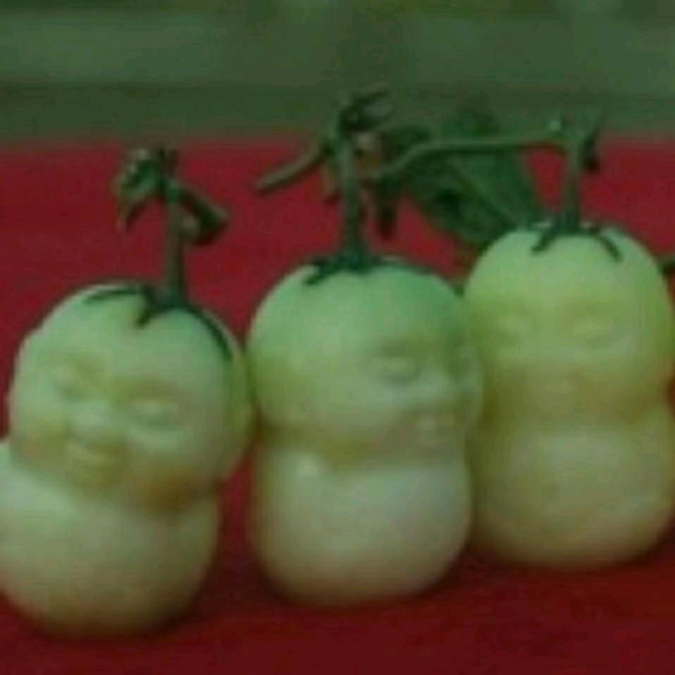 胖青🐰🥕