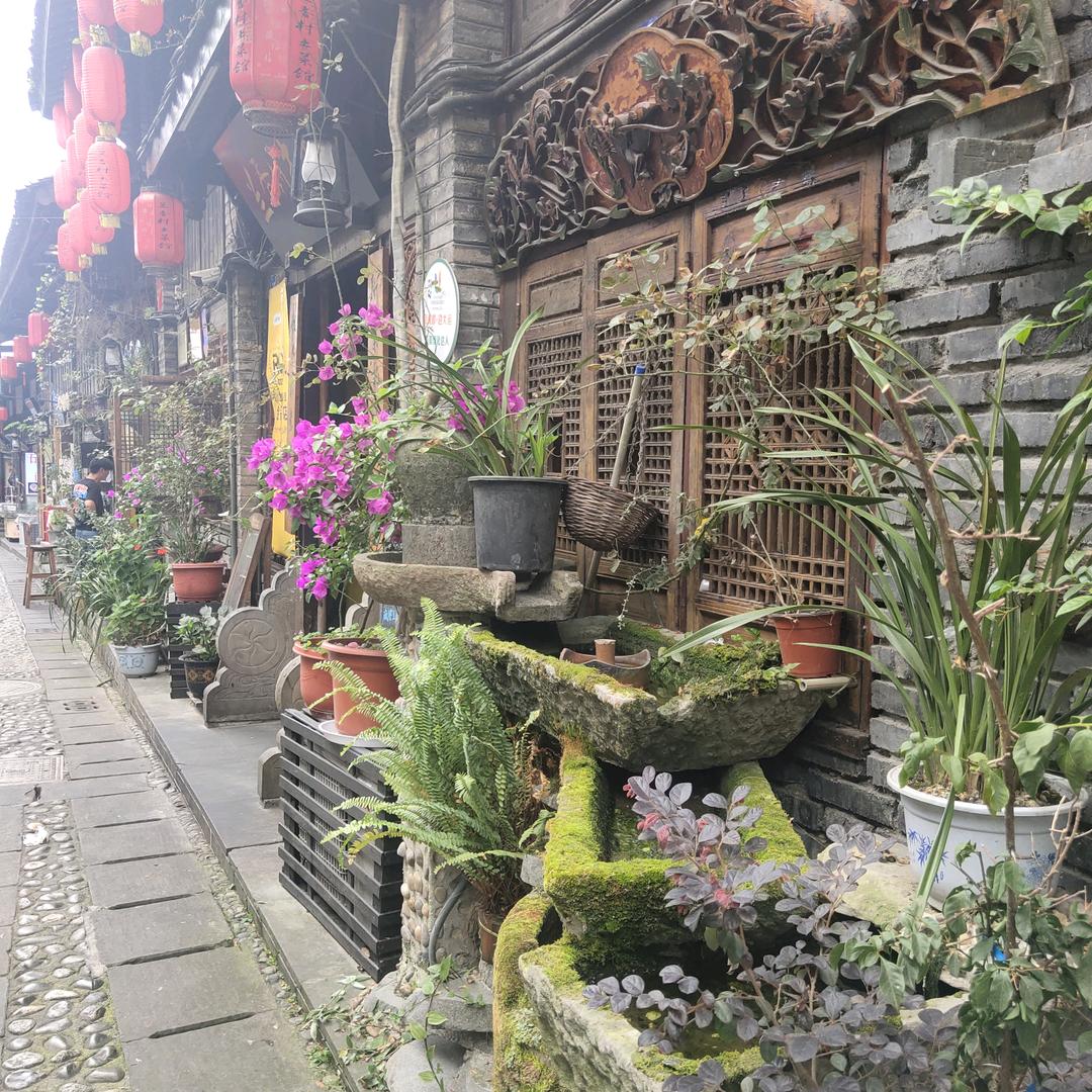 花花绿绿