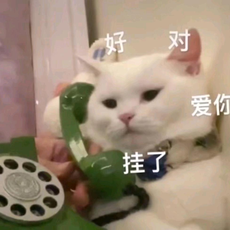 重生之我是米甲师