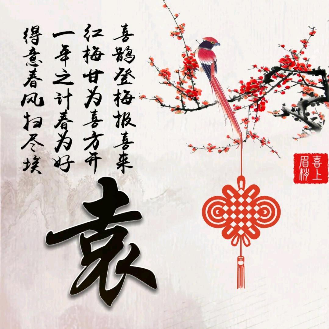 遇到就是袁先生