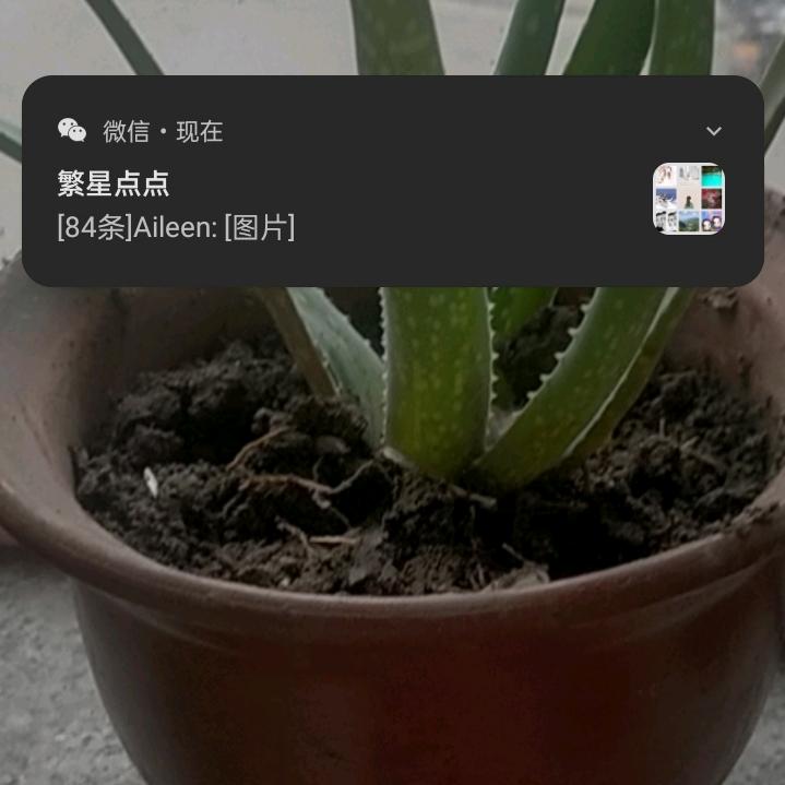 萍水相逢