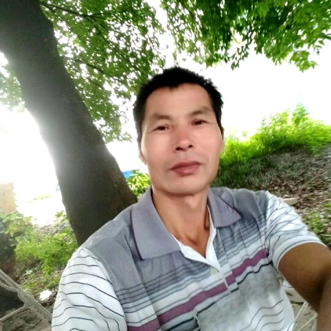 河南马哥