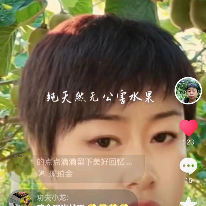 乾县漠西猕猴桃