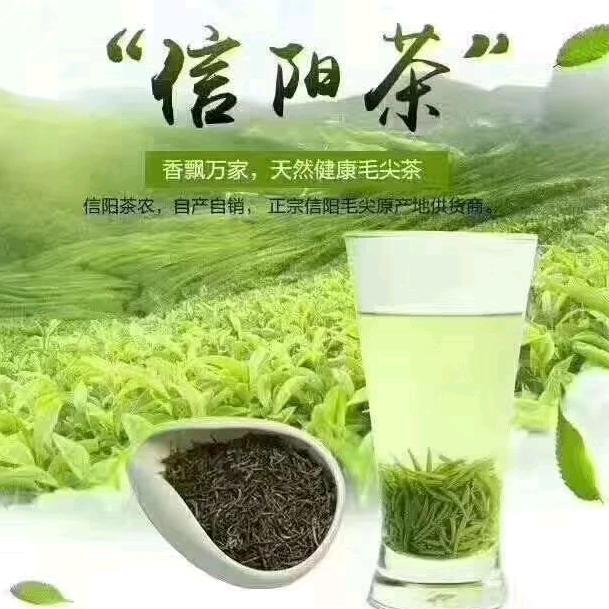 新春路信阳生态茶苑