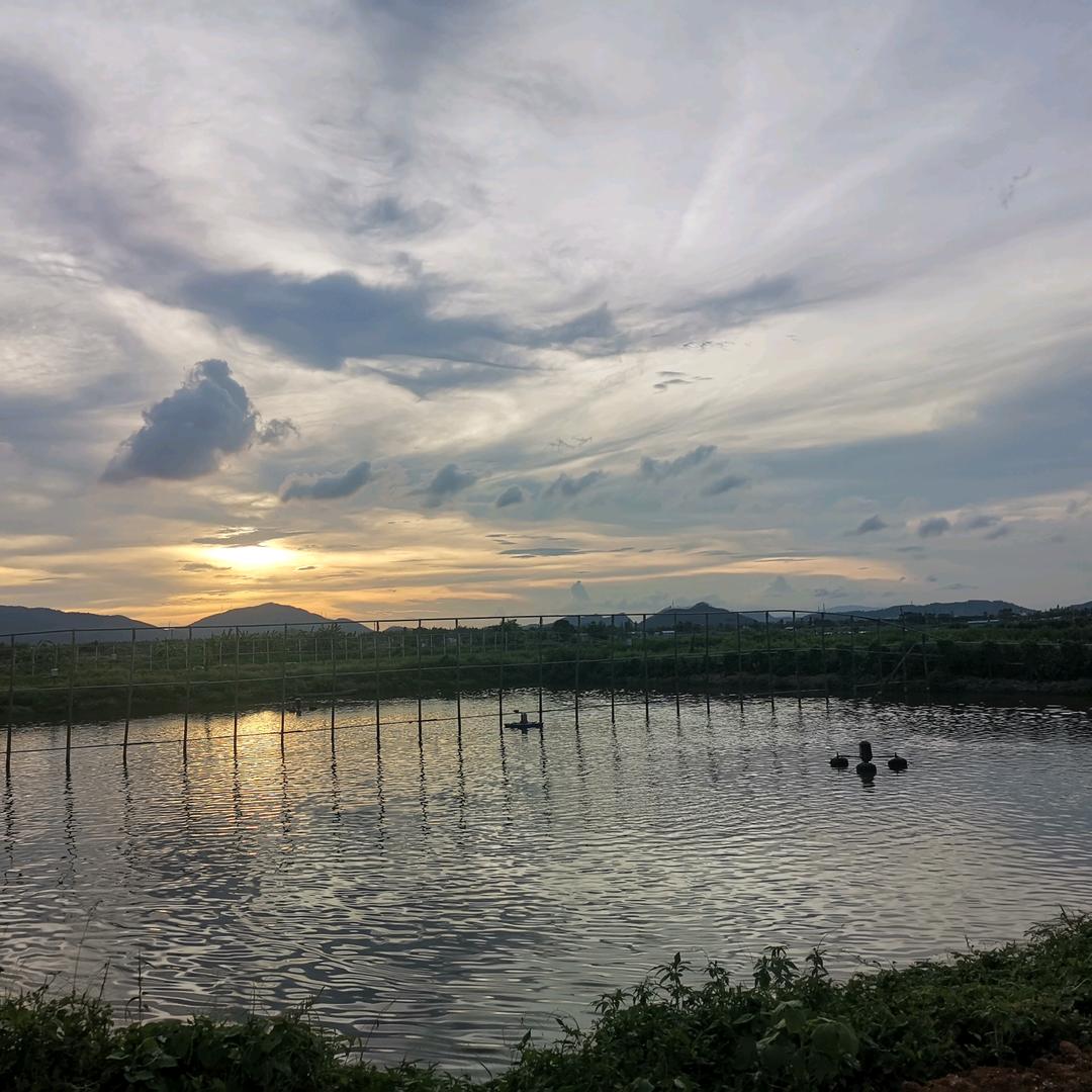 哈哈哈哈哈哈哈哈