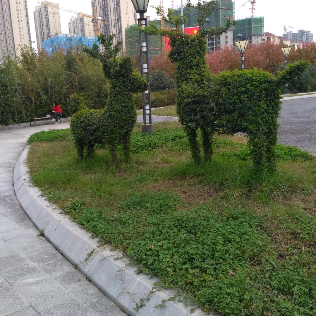 开心的每一天