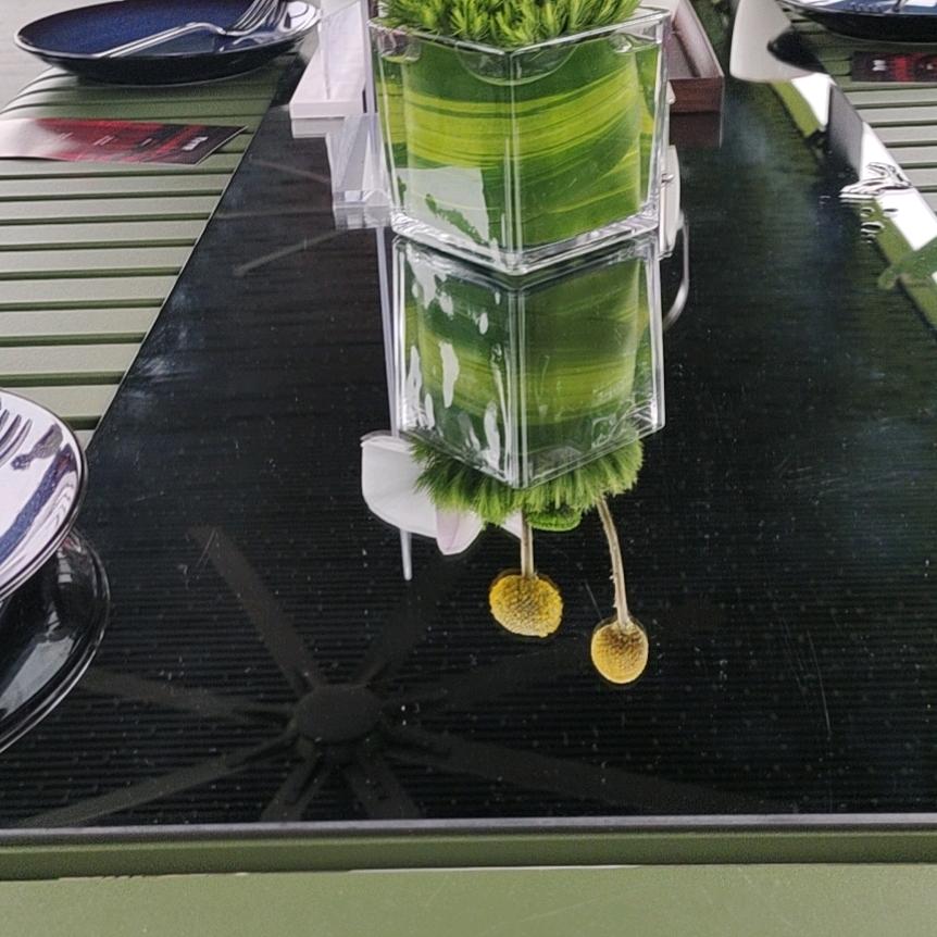 半似日兮半似月