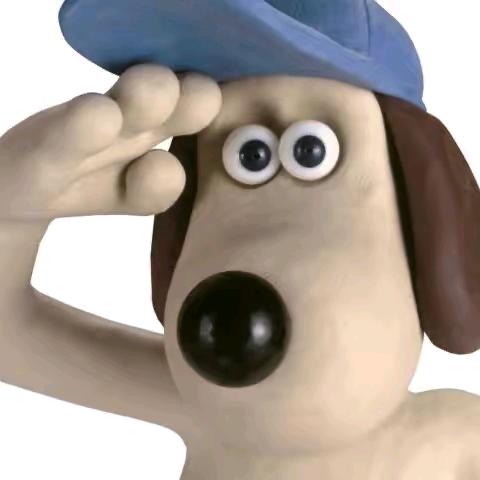 _y