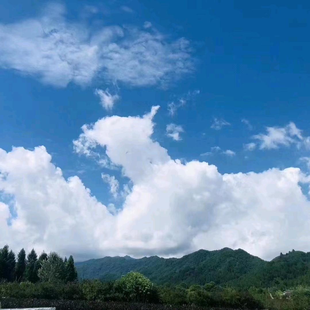 大疆大江头像