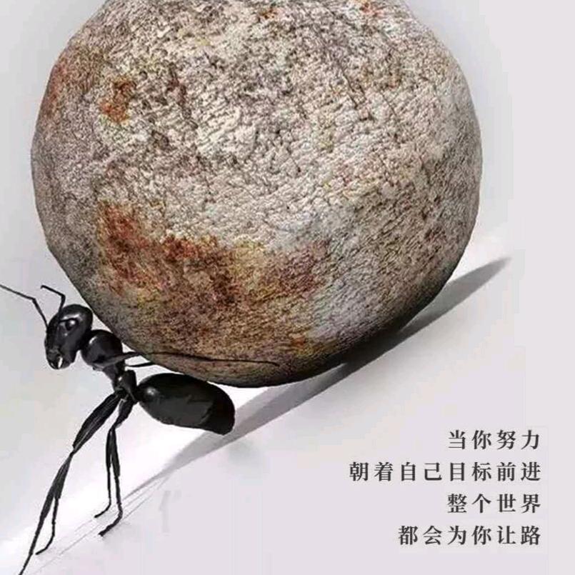 引杯看劍