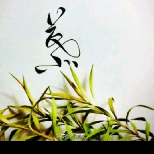 微微一笑很精彩