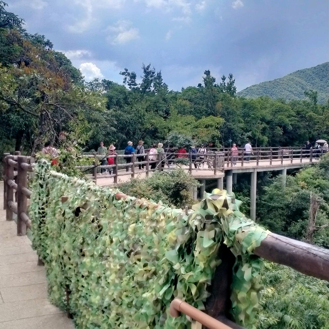 为你动心