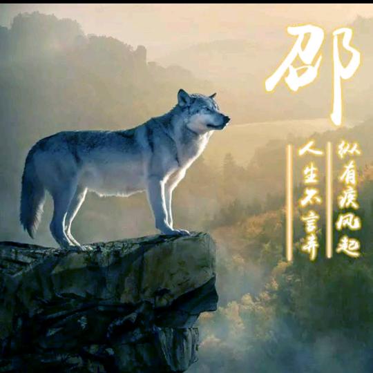 随心所欲