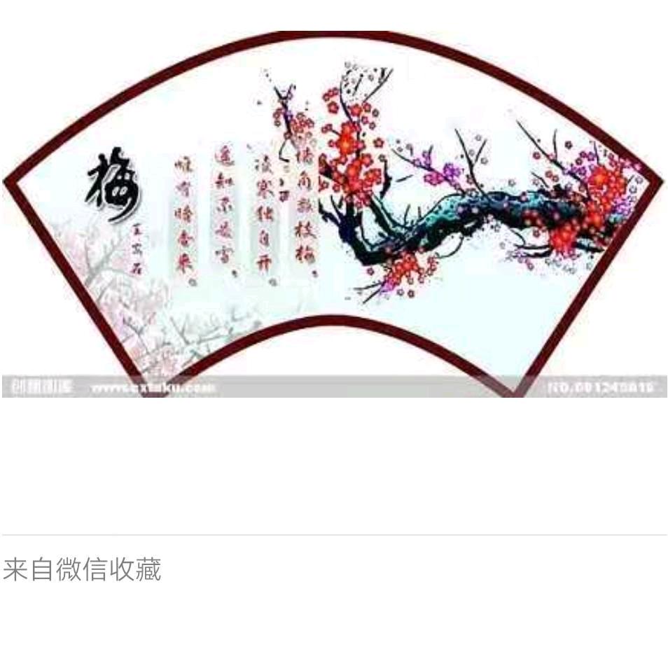 寒梅屹立