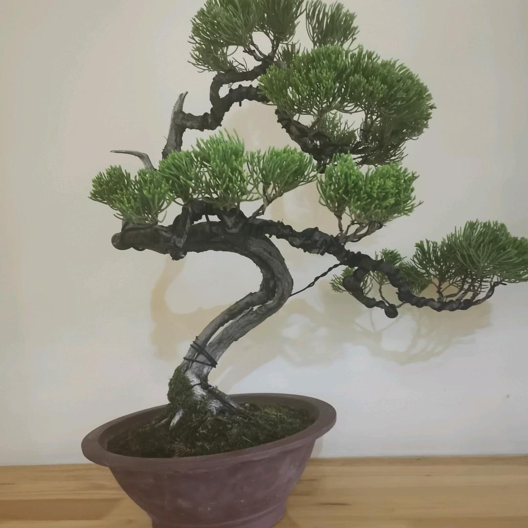 大哥大、