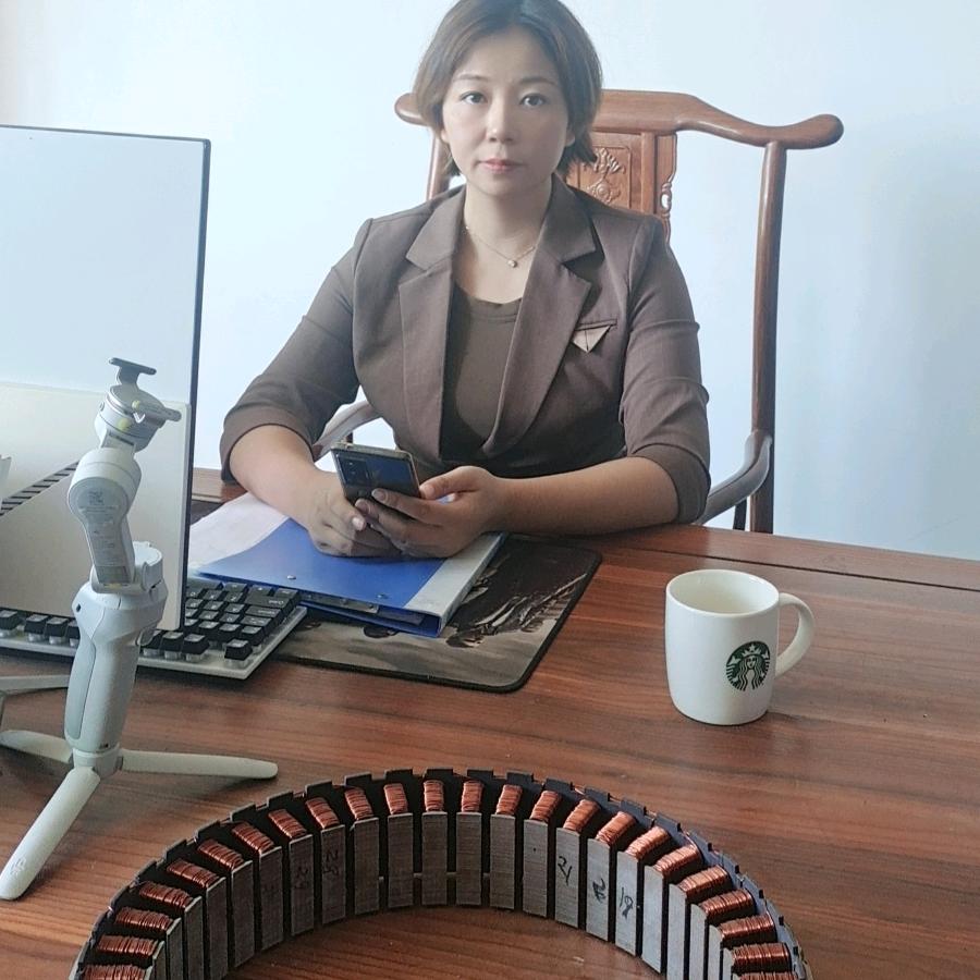 无刷电机绕线机-川野精密