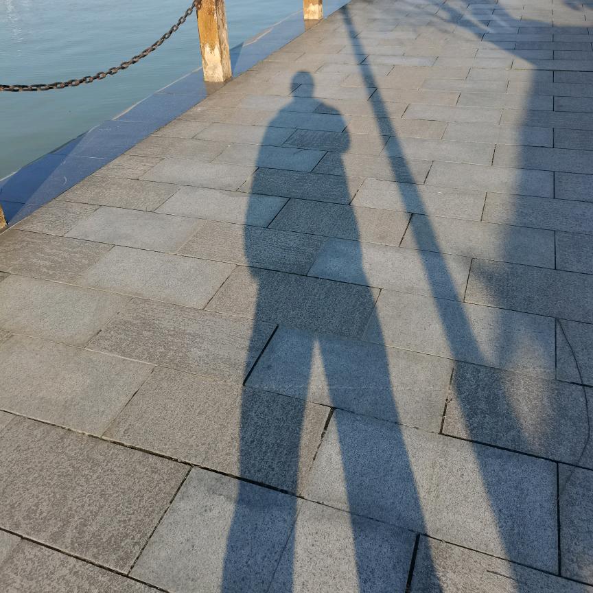风飞沙