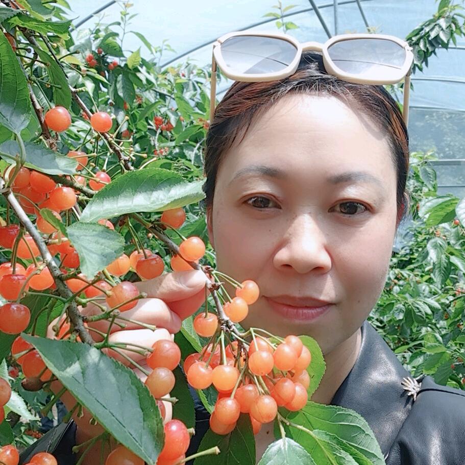 刘家姑凉，小英😂😂😂😂