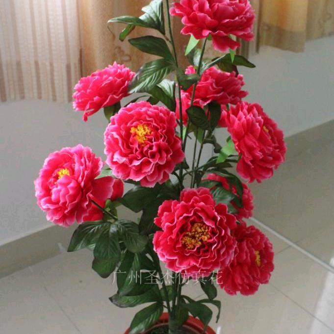 花开富贵。
