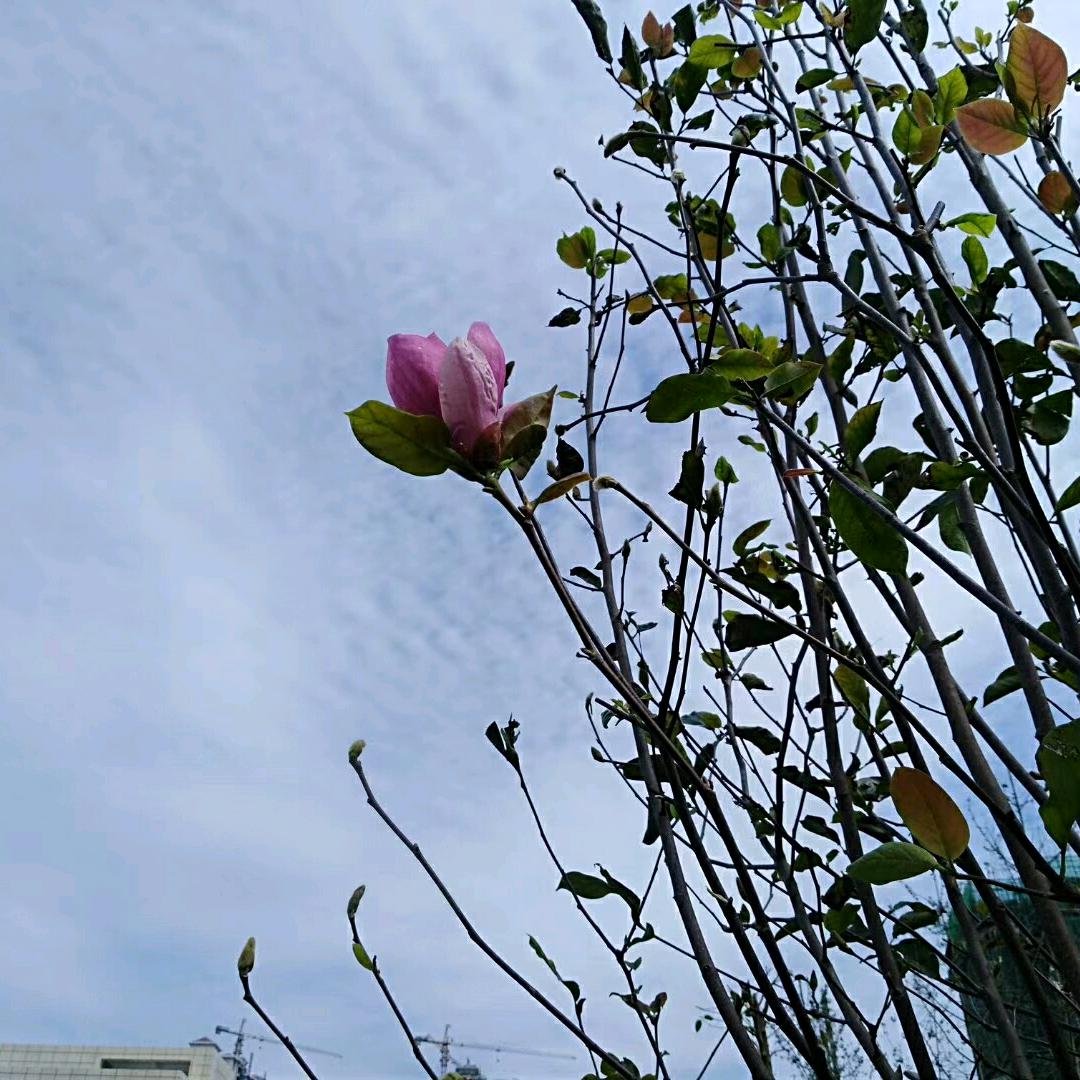 均临天下
