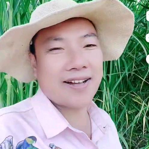 自由的放牛郎