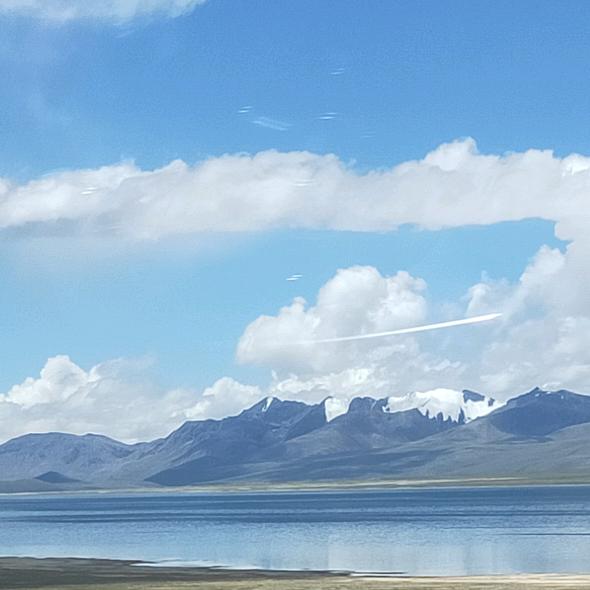 我是一个洗刷酱