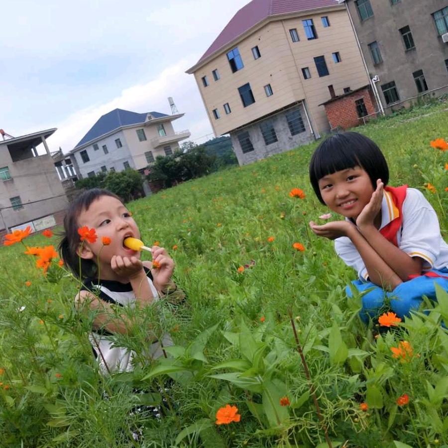用户芳芳337441676694