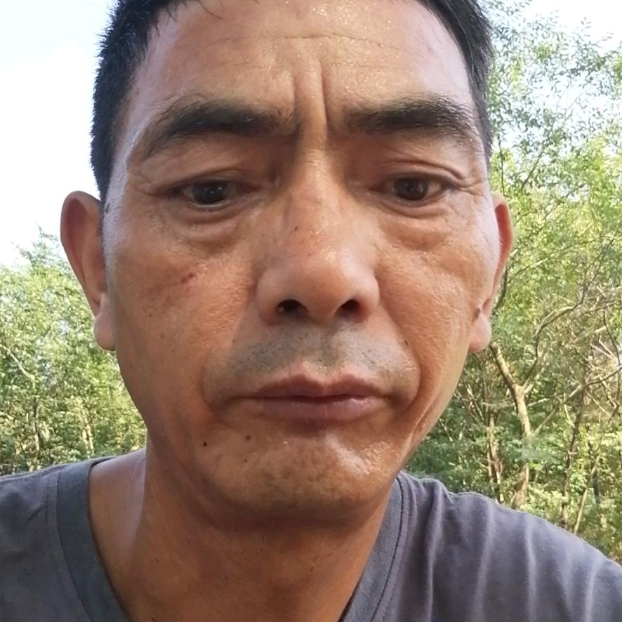 老鲁