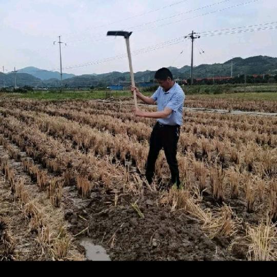 螺丝丁