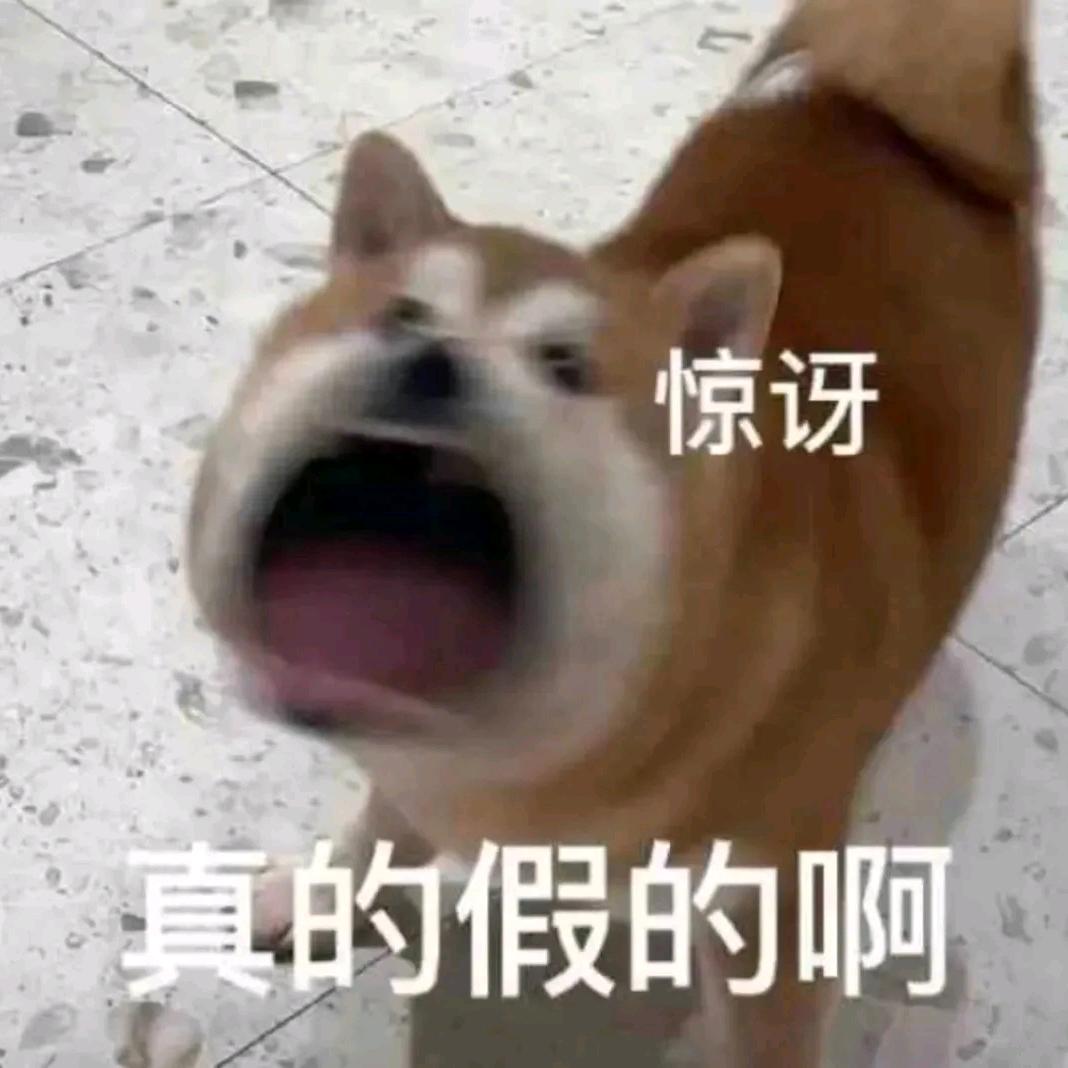 浙圈高冷禁欲炒年糕