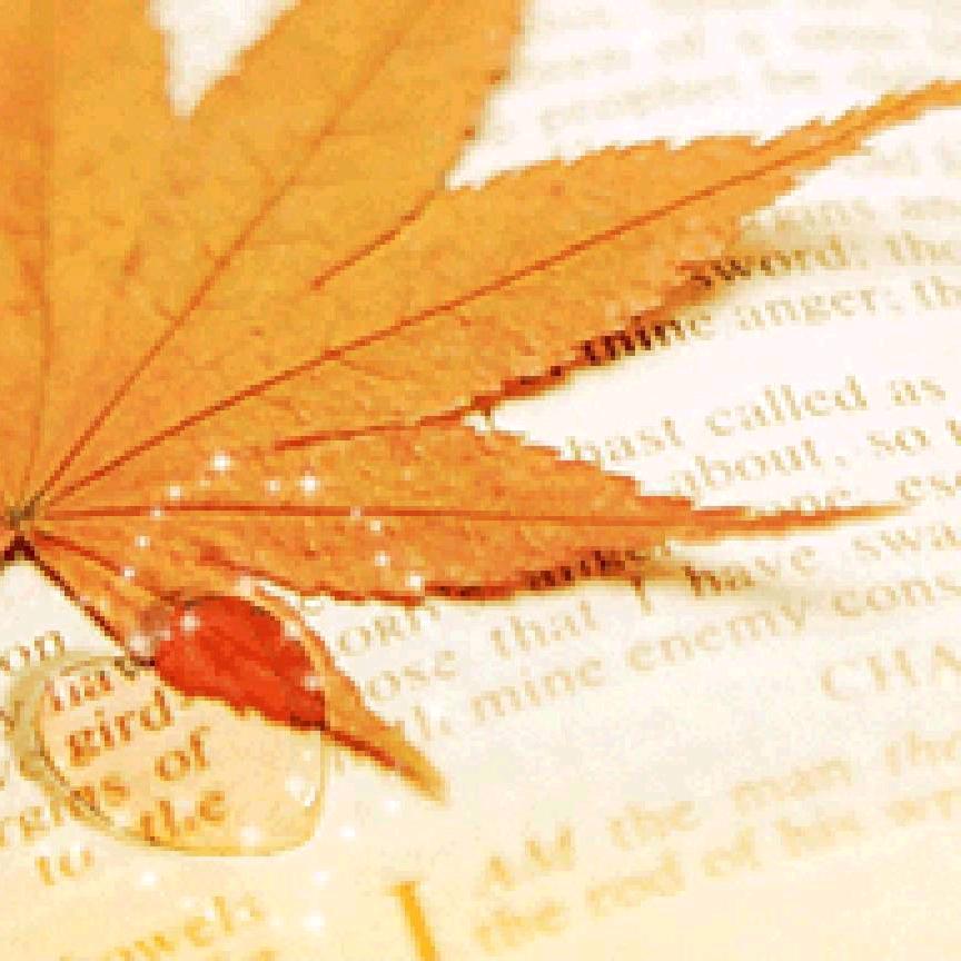 ꧁༺缘༒份༻꧂