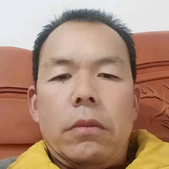 桃树达人