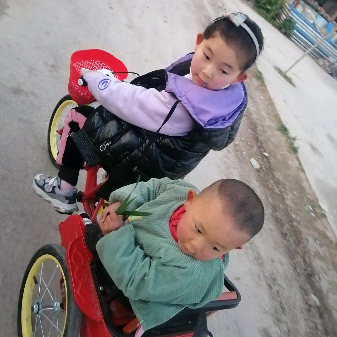 乐璇肉鸽养殖厂