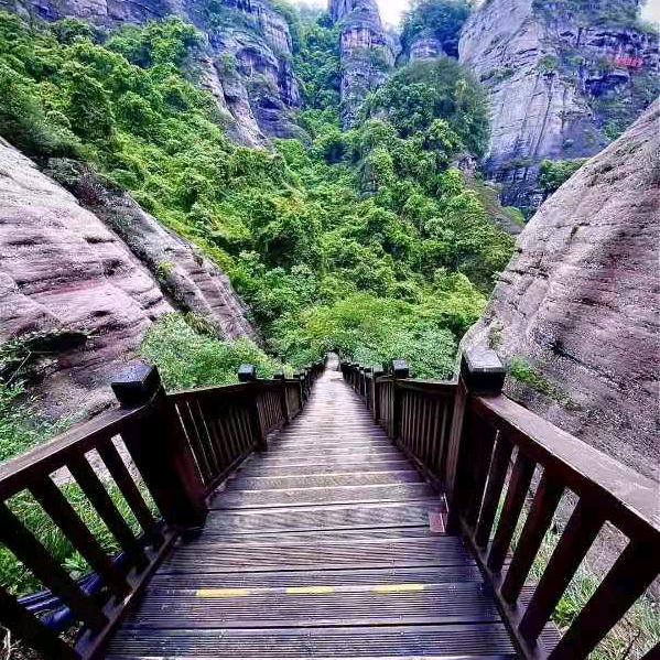 水哥，专业艺术漆