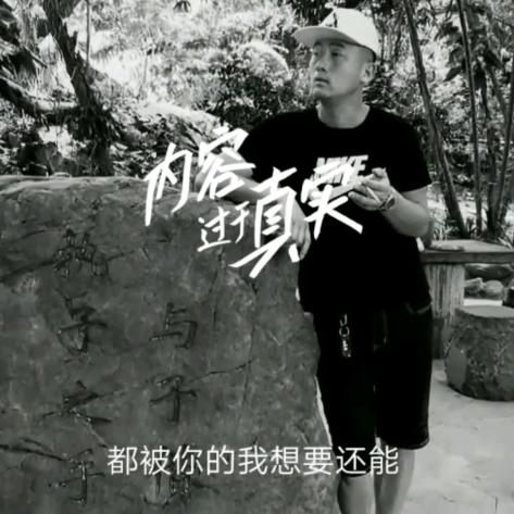 洙湖镇：洪斌农资、六夫丁、黑能量