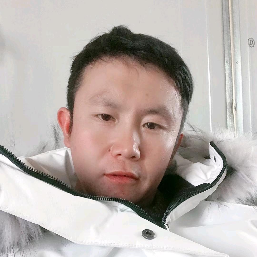 树下阳光