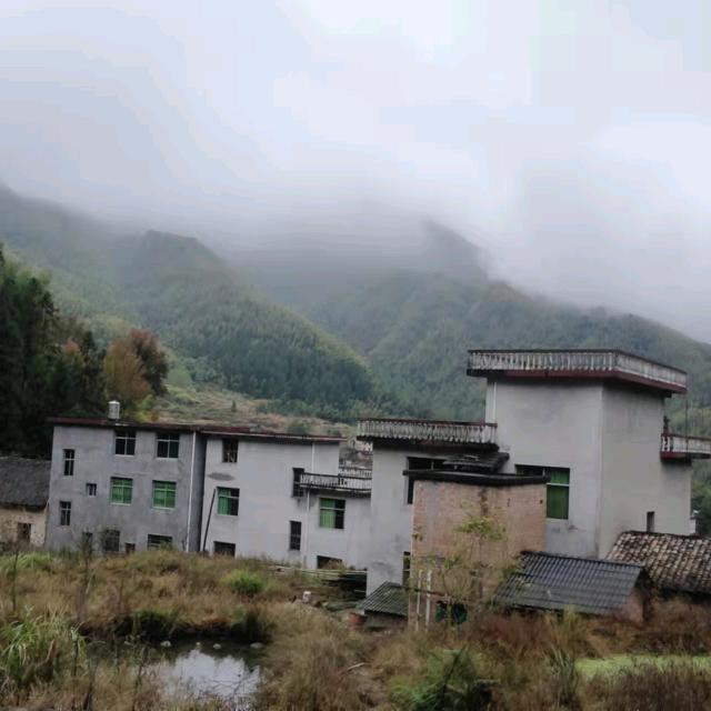 来自钟
