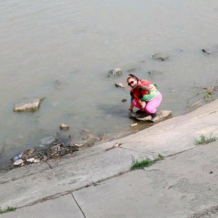 🌵沙漠里的仙人掌🌵