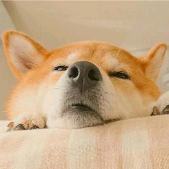 忄怜
