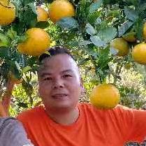 农村小牛