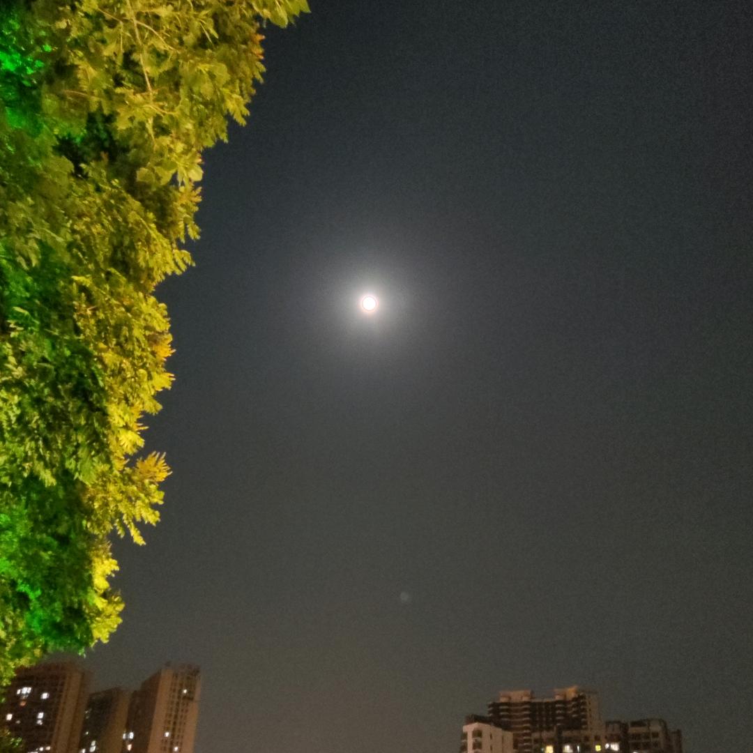 枫天月下☁️