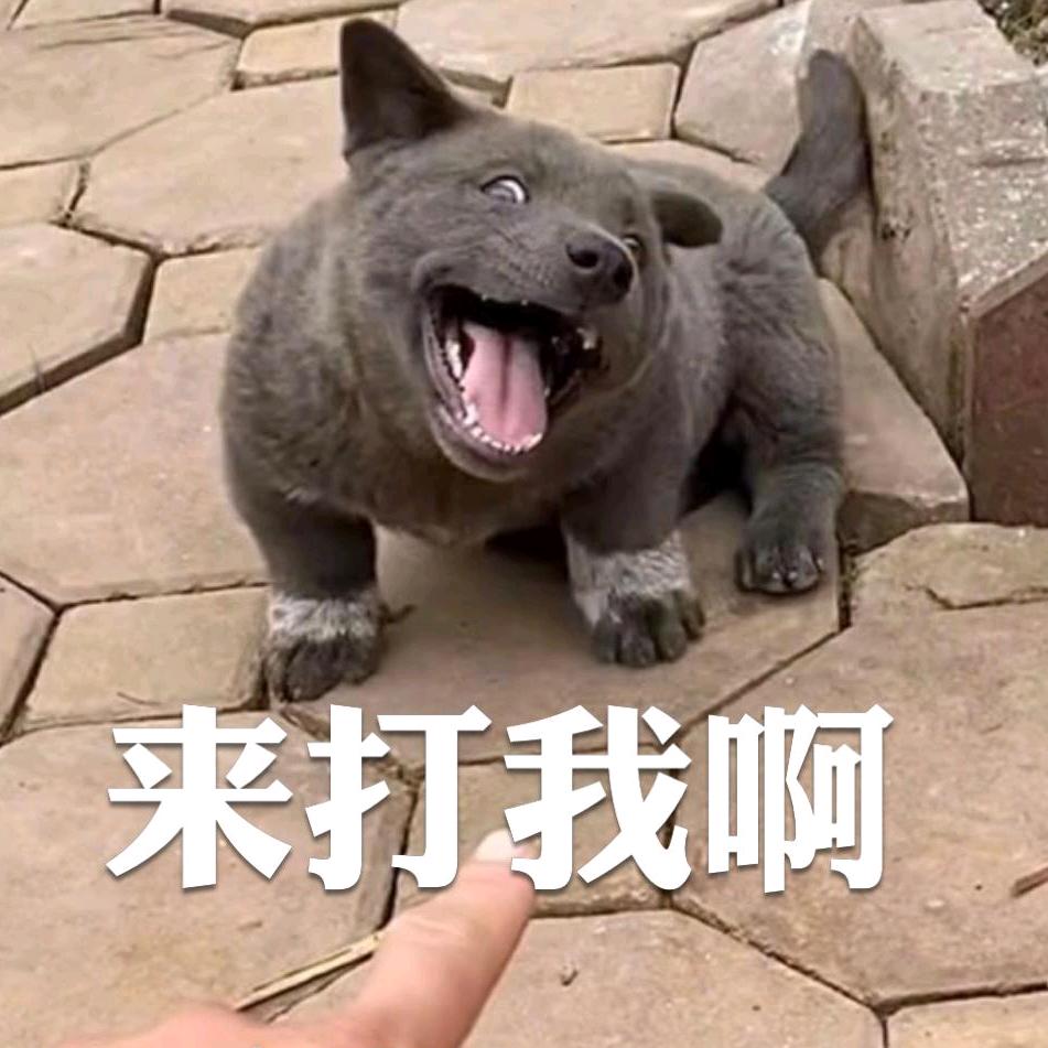 幕沫丶芸祭