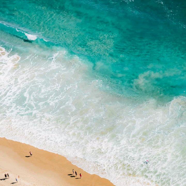 小兔兔🐇爱吃胡萝卜🐯🐰