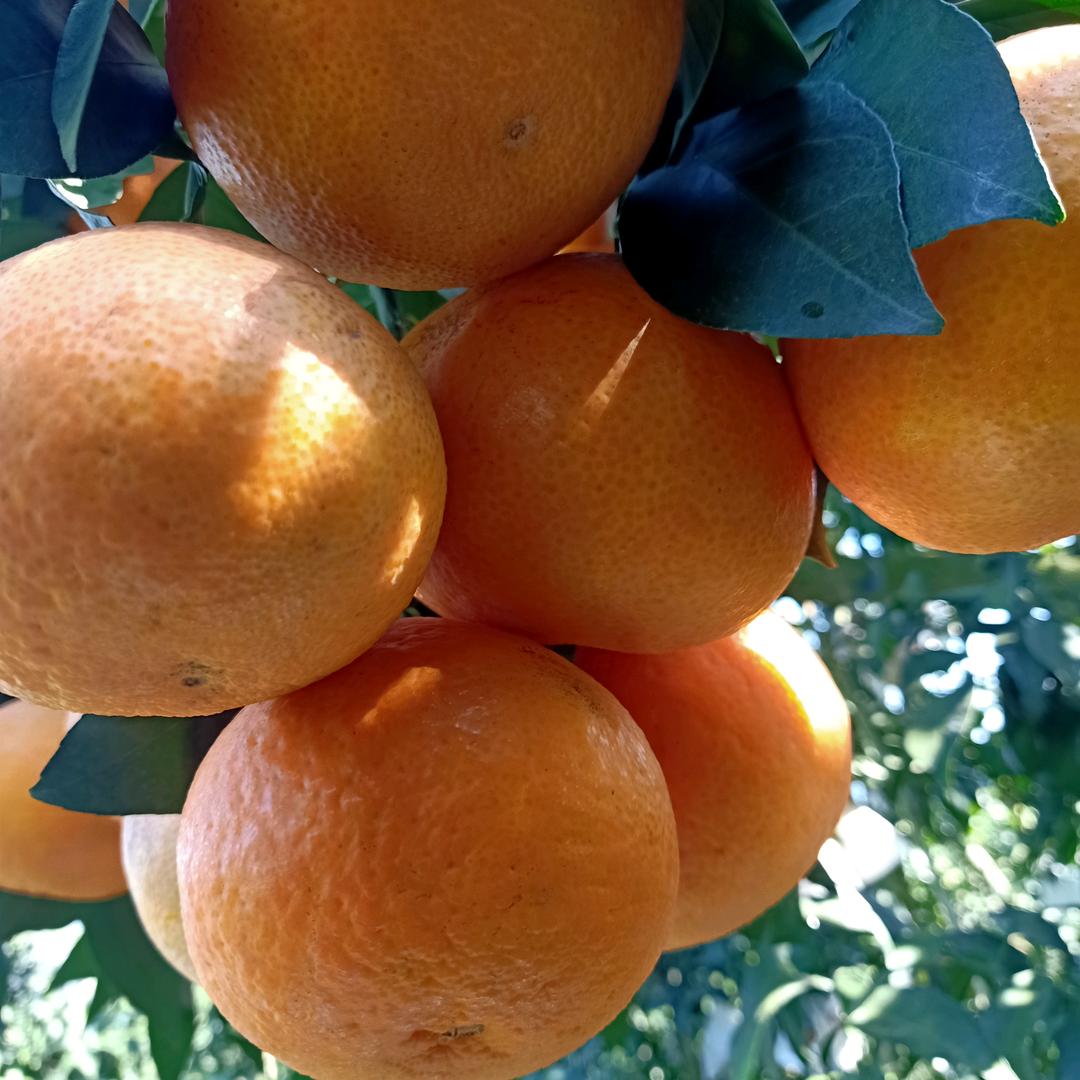 陈姐姐🇨🇳🇨🇳