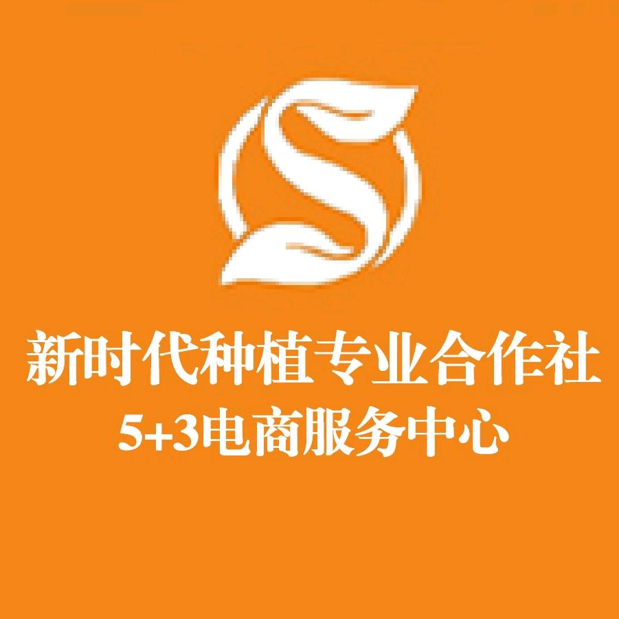 新时代种植专业合作社电商服务中心