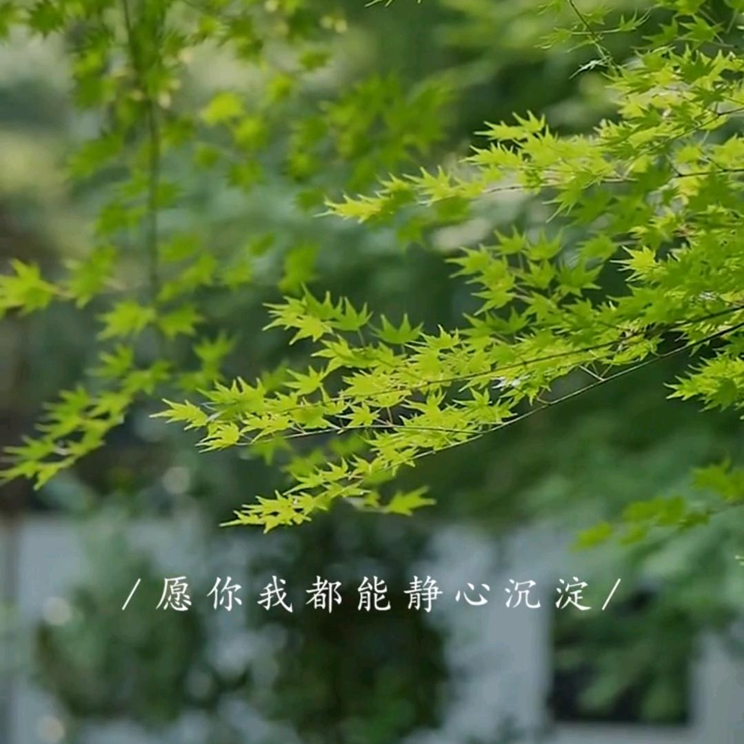 岁月如梦
