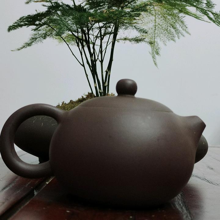 茶于竹
