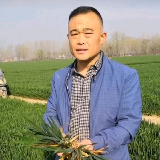 太康老符说农业