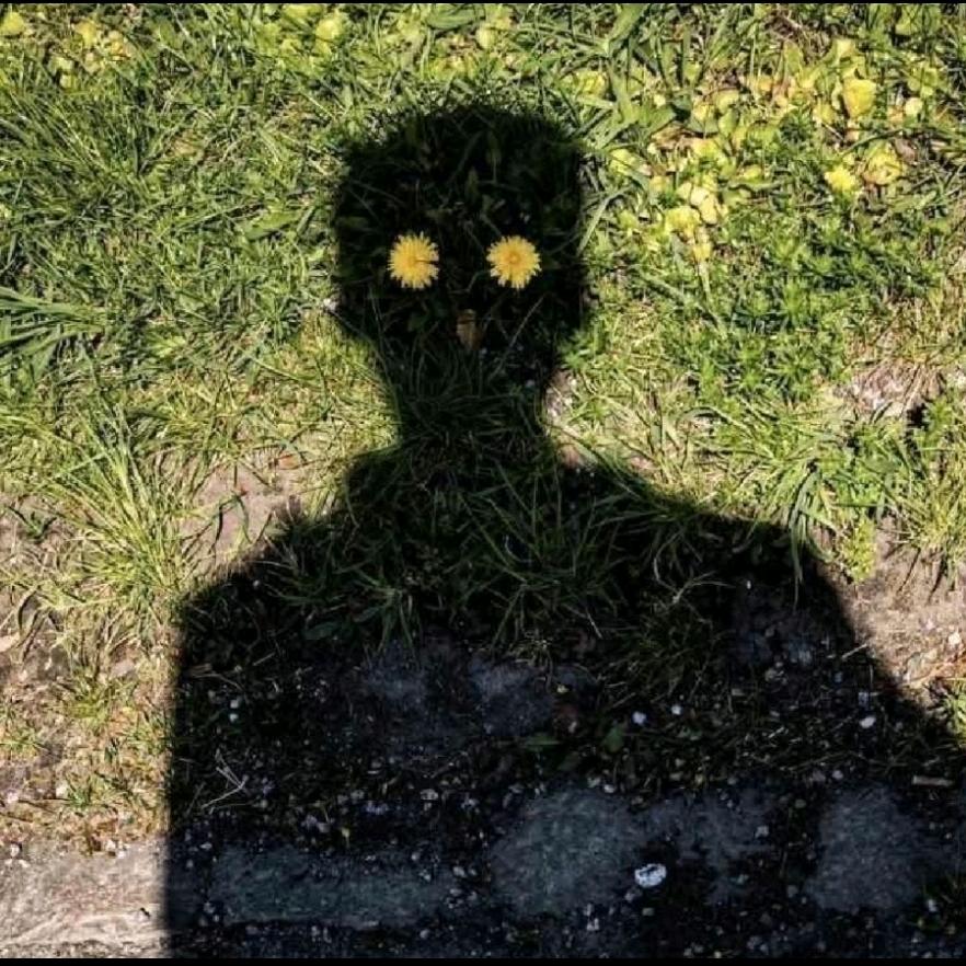 Z妹家的高冷男人